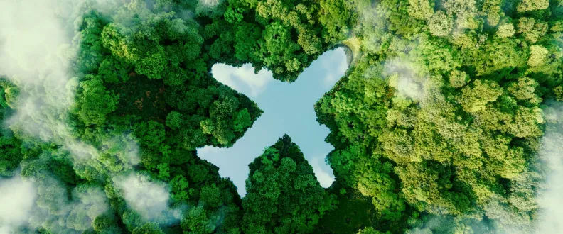 Minimizing Airlines Carbon Footprint